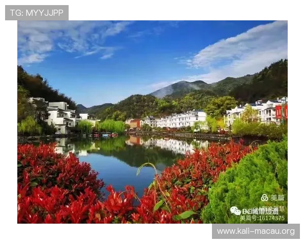 海洋之神官网真人游戏玩家社区交流与经验分享平台